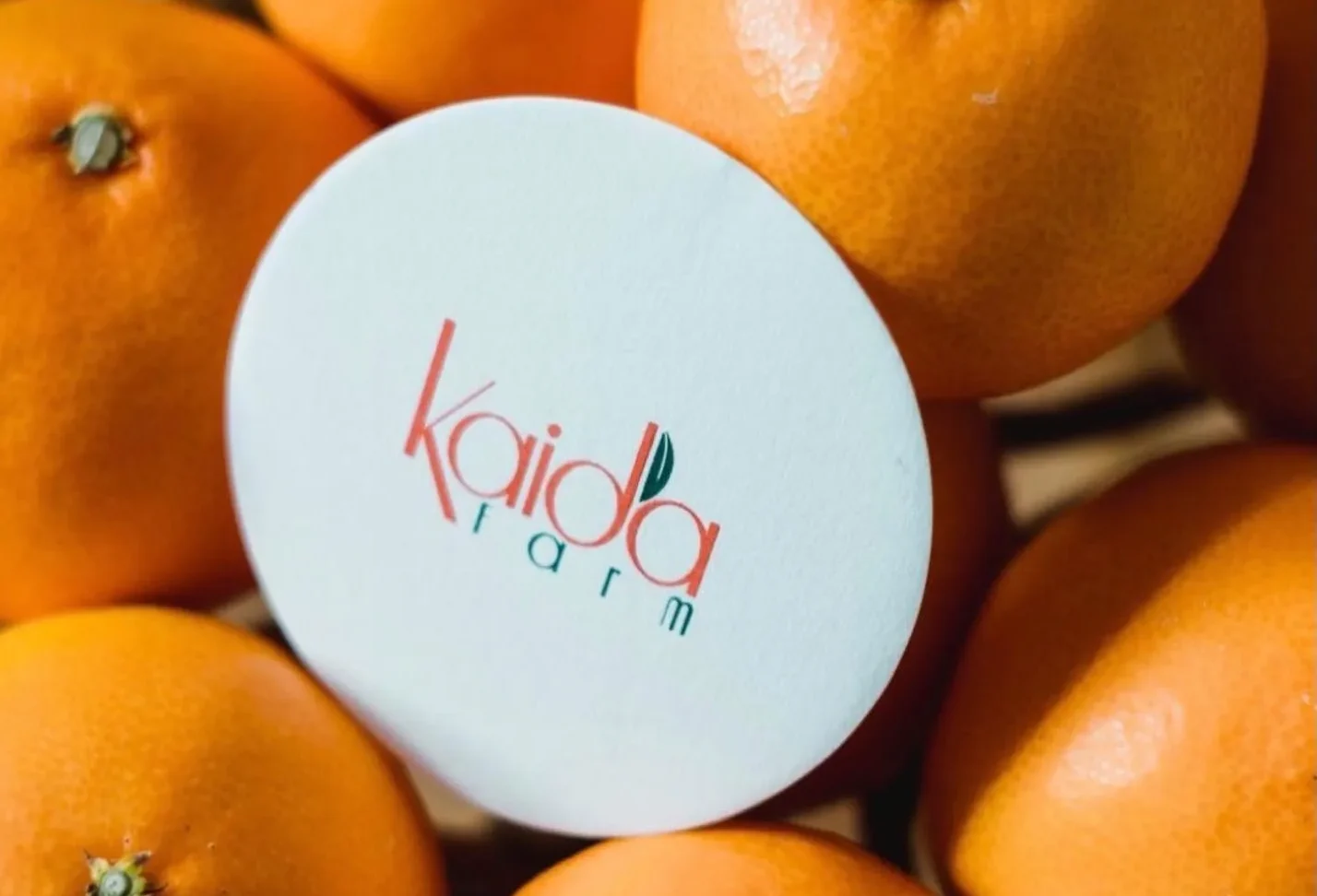 かいだ農園 みかん