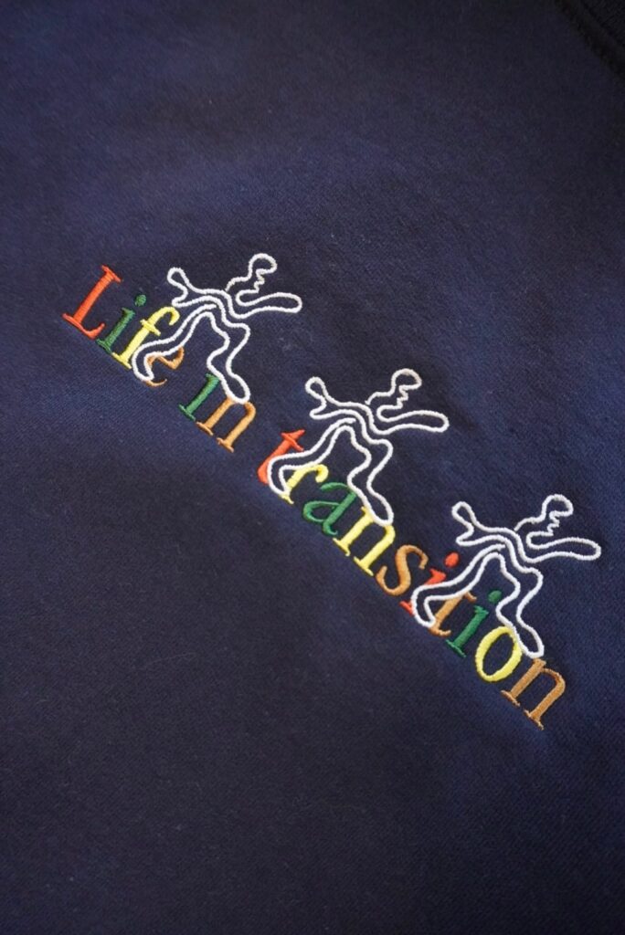 Life In Transitionの画像